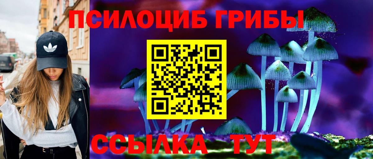 Липецк  Псилоцибиновые грибы мицелий  купить закладку  Галлюциногенные грибы GOLDEN TEACHER  Вход с VPN 